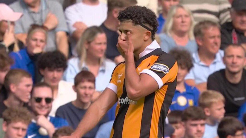 Mohammed Belloumi for Hull City